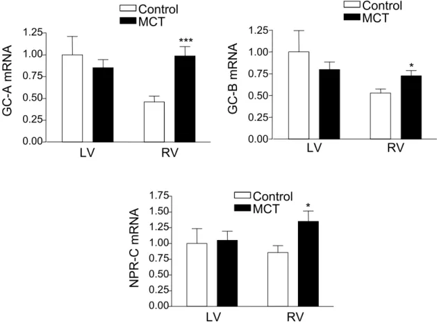Figure 2. Effect of MCT on NPR-A, NPR-B, and NPR-C gene expressions  in the right and the left ventricle