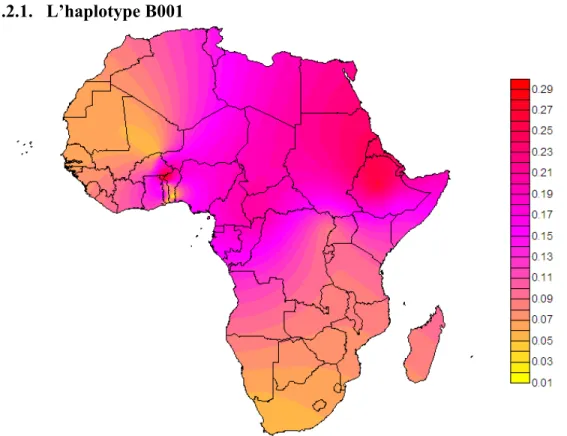 Figure 6 : Distribution spatiale de l’haplotype B001 en Afrique 