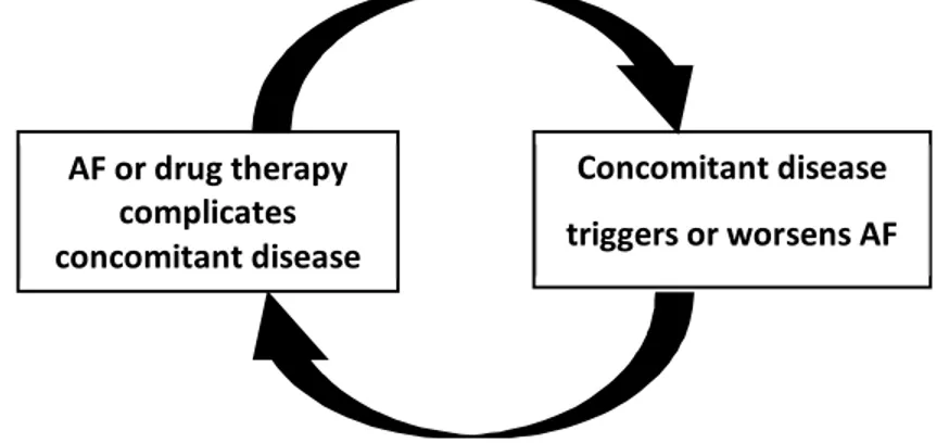 Figure 1: Interactions between atrial fibrillation (AF) and underlying illnesses (10, 11)