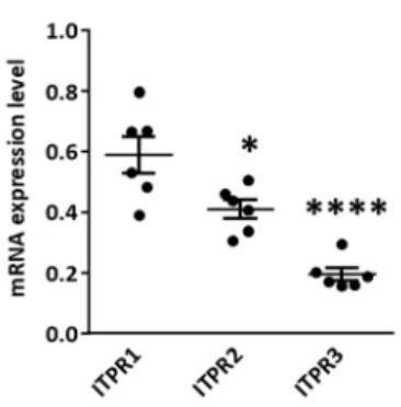 Figure 7: Differential expression of the 3 isoforms of ITPR in the left atrial cardiomyocytes of  control dogs