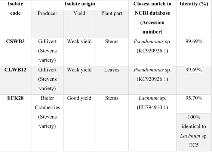 Table 3.-  Origin and the closest match of CSWB3, CLWB12, and EFK28 isolates based on 