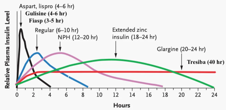 Figure 4. Action des différents types d’insuline. Adapté de l’article révisé Insulin analogues (44) 
