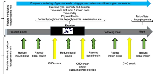 Figure 8. Les actions possibles afin de réduire le risque d’hypoglycémie ou d’hyperglycémie relié 