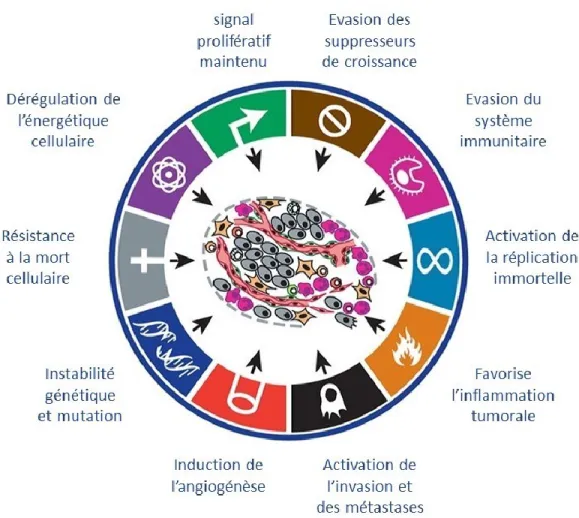 Figure 1. –   Caractéristiques du cancer  