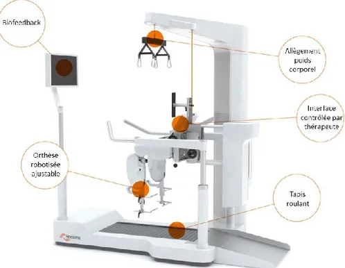 Figure 5 : Vue d’ensemble de la version pédiatrique du Lokomat ® . Image adaptée de  ( www.hocoma.com )