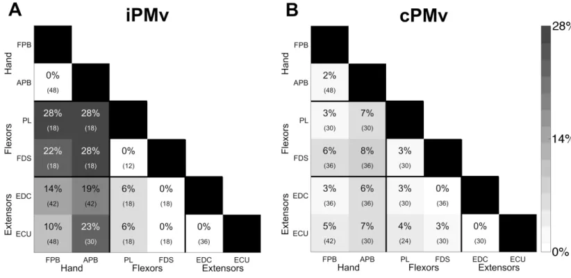Figure 2.9 Incidence of opposite effects of PMv conditioning across functional muscle categories  Box diagram showing the incidence of simultaneous significant opposite effects across muscles  (see Figure 2.8B; Mixed)