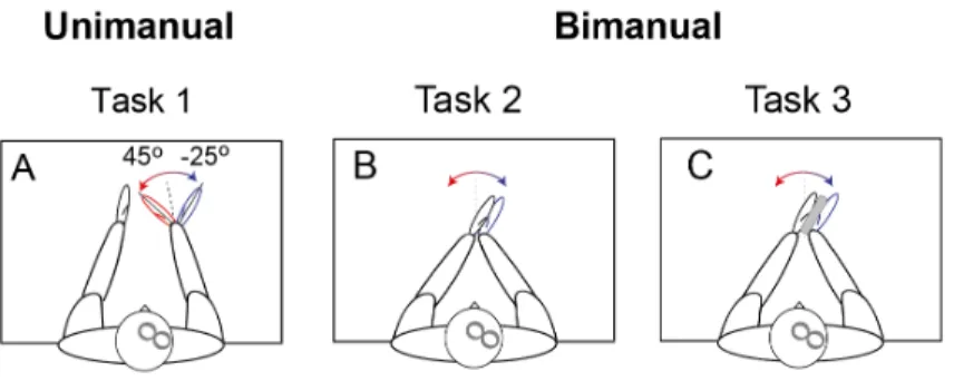 Figure 5. –   Subjects Positions in Uni- and Bimanual Tasks. 