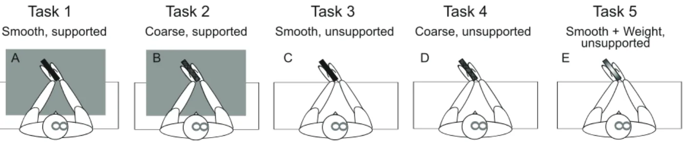 Figure 7. –   Subjects Position in Bimanual Holding Tasks. 