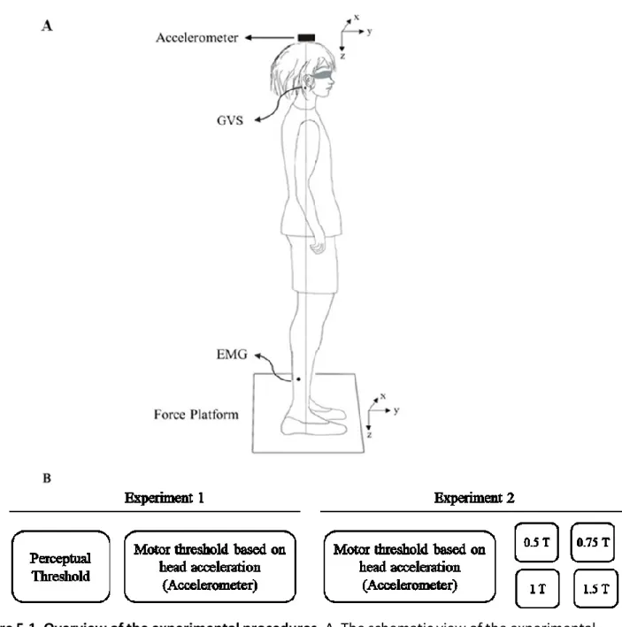 Figure 5.1. Overview of the experimental procedures. A. The schematic view of the experimental  setup