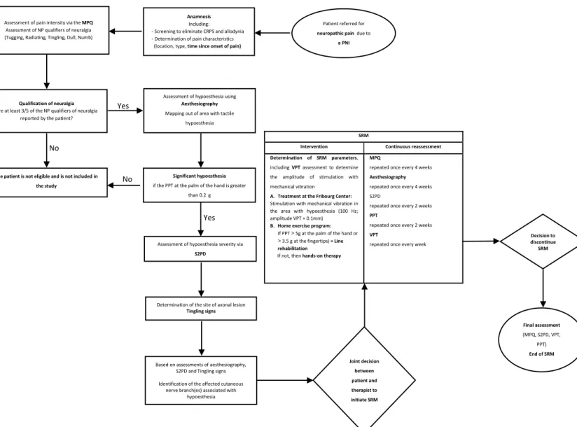 Figure 1. – Flowchart of SRM assessments and interventions of a patient reffered for neuropathic pain due to a PNI and  treated with SRM for tactile hypoesthesia and neuralgia in the palm of the hand