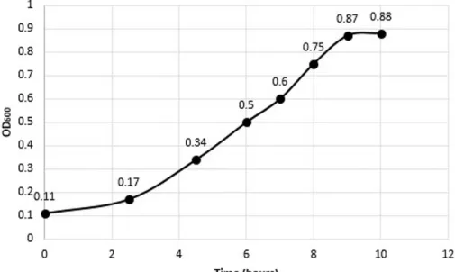 Figure 10. Growth curve of ClearColi transfected with pColdIII-VBsilk. The growth starts slower  and becomes exponential between 4 to 8 hours with a plateau showing at hours 9 and 10