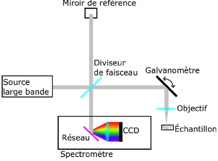 Figure 6. –   Schéma de principe d’un SD-OCT.  