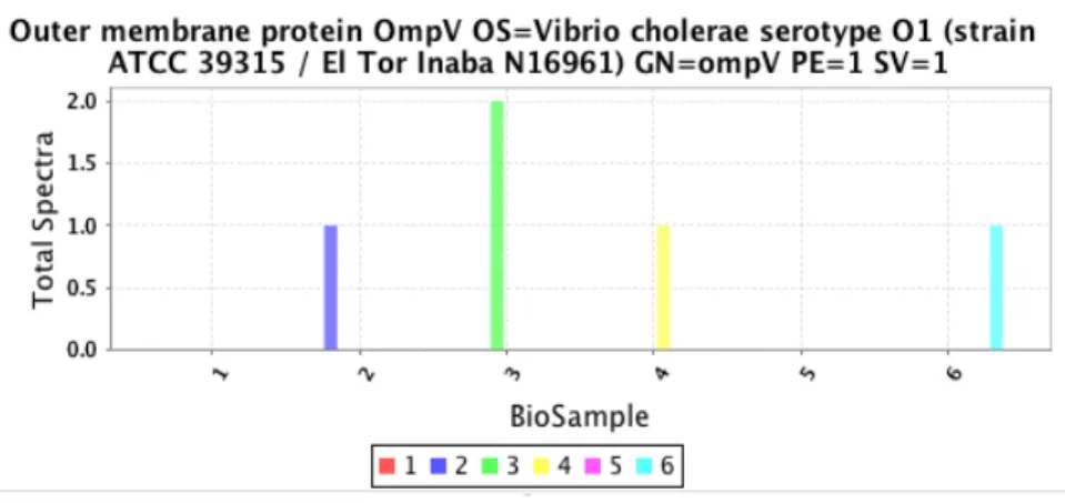 Figure 9 : Quantification de la porine OmpV dans la portion sécrétée chez V. cholerae en présence ou non de différents PAM– V