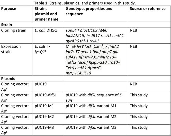 Table 1. Strains, plasmids, and primers used in this study. 