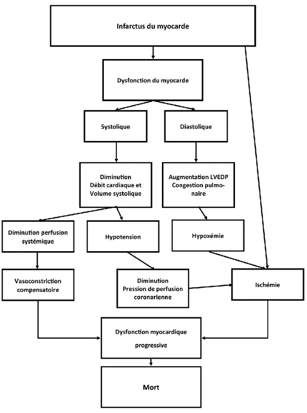Figure 4. –   La physiopathologie du choc cardiogénique (95) 