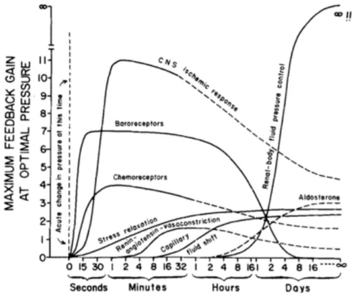 Figure 1.1: mécanismes de compensation physiologiques suite au choc hémorragique. 