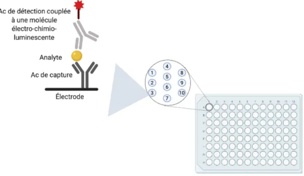 Figure 4. –   Principe de fonctionnement du Multiplex.  