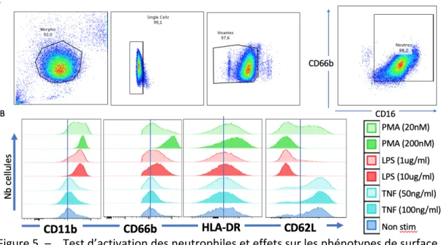 Figure 5. –   Test d’activation des neutrophiles et effets sur les phénotypes de surface