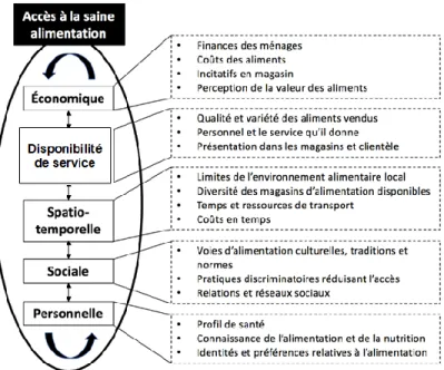 Figure 2.  Cadre conceptuel de Freedman (reproduit et traduit en français de Freedman et al,  2013) 