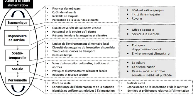 Figure 5.  Les 5 dimensions d’accès aux aliments selon Freedman (2013) et les sous-catégories  modifiées 
