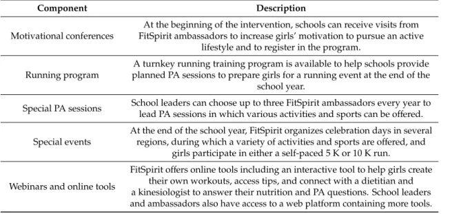 Table 1. Components of the FitSpirit program.