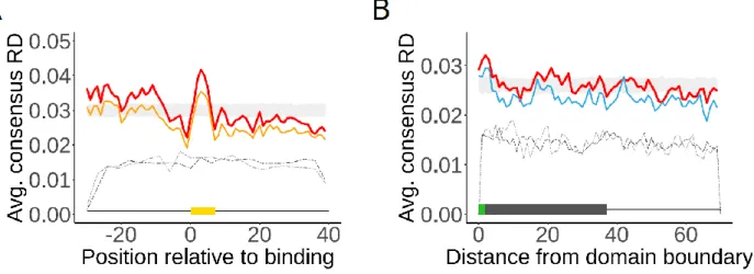 Figure 2.5: DT sequences are not systematically coordinating protein folding on the ribosome