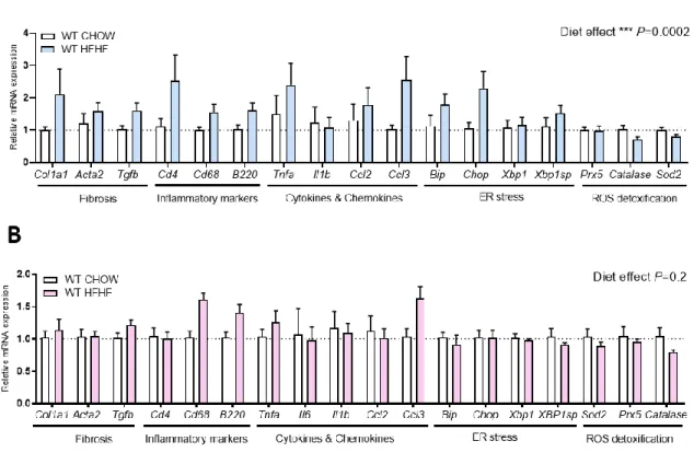 Figure 4. - Impact of diet on hepatic expression of genes involved in NAFLD development