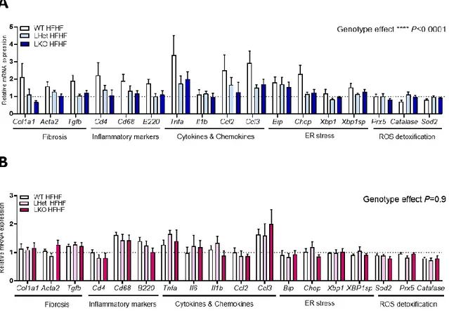 Figure 5. - Impact of hepatic disruption of PGC-1α and diet on gene expression at 6 weeks