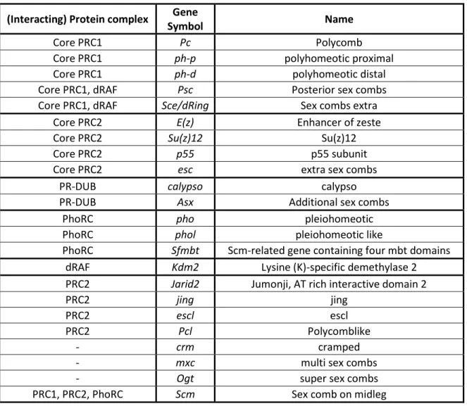 Table 1. –   Drosophila PcG Proteins.  