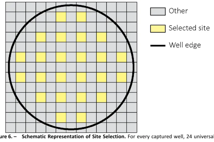 Figure 6. –   Schematic Representation of Site Selection. For every captured well, 24 universal sites  were defined