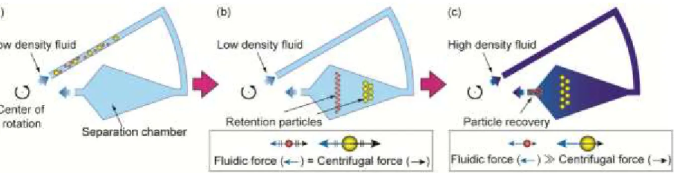 Figure 9: Cell size fractionation based on size using counterflow elutriation 