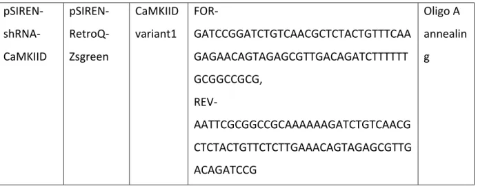 Tableau 2. –   List of primary antibodies 