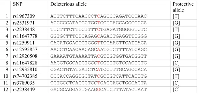 Table III : Sequences of 5’-biotinylated oligonucleotides used in EMSA. Complementary 5’-