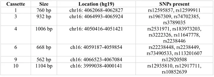 Table V : Location and size of cassettes used for luciferase reporter assay.   