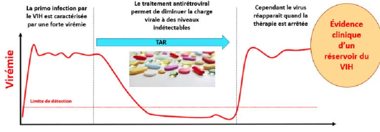 Figure  5 : Évolution  de  la virémie avant, pendant  et  après le TARc et  évidence  clinique de  l’existence du réservoir VIH (adapté de Kulpa et Chomont, 2015)