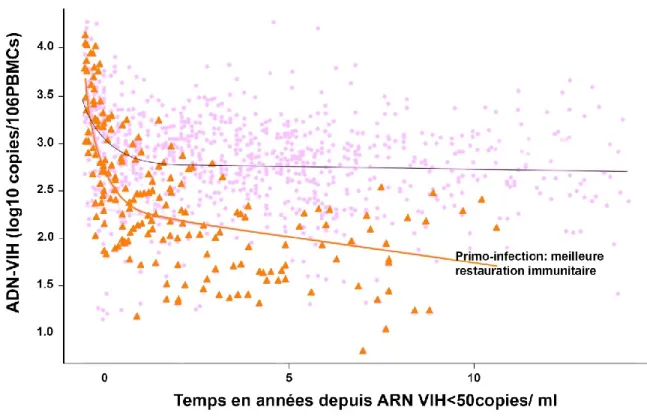 Figure 8 : Modélisation de la régression du niveau de l’ADN viral, en fonction du moment de  l’initiation du traitement