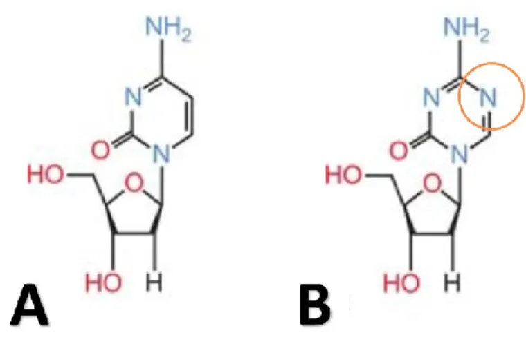 Figure 19 : Structure de la cytosine et de la décitabine 