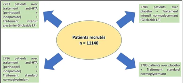 Figure 6. Représentation schématique des patients de la population ADVANCE répartis, 