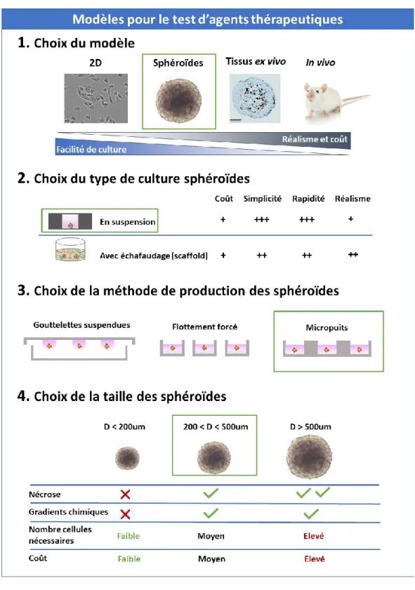 Figure 8. –   Choix du modèle cellulaire. 