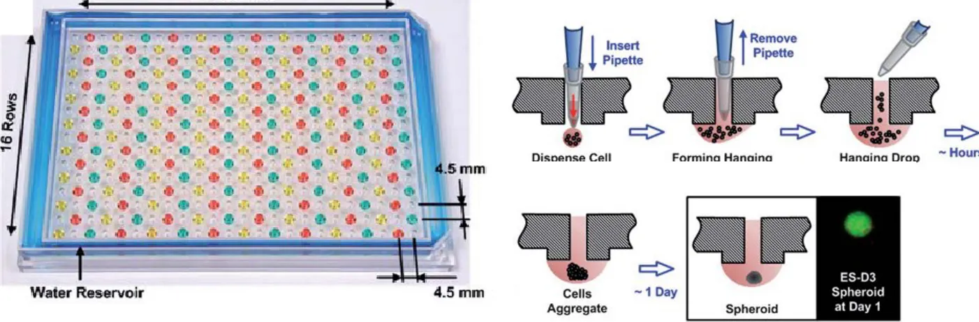 Figure 9. –   Plateforme de 384 gouttelettes suspendues 101 . Reproduit avec la permission de Royal  Society of Chemistry, Copyright Clearance Center® [100]