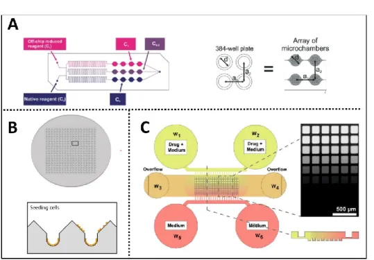 Figure 10. –   Systèmes microfluidiques développés pour le criblage d’agents thérapeutiques sur 