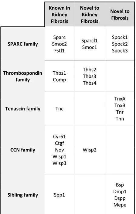 Table 1: Listing of candidate MP genes based on published fibrotic relevance within in 