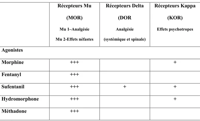 Tableau 1 : Effets et sélectivité de certains opiacés sur les récepteurs des opiacés  Récepteurs Mu  (MOR)  Mu 1–Analgésie  Mu 2-Effets néfastes  Récepteurs Delta (DOR Analgésie    (systémique et spinale) Récepteurs Kappa (KOR) Effets psychotropes  Agonistes  Morphine  +++  +  Fentanyl  +++  Sufentanil  +++  +  +  Hydromorphone  +++  +  Méthadone  +++  Adapté de (23) 