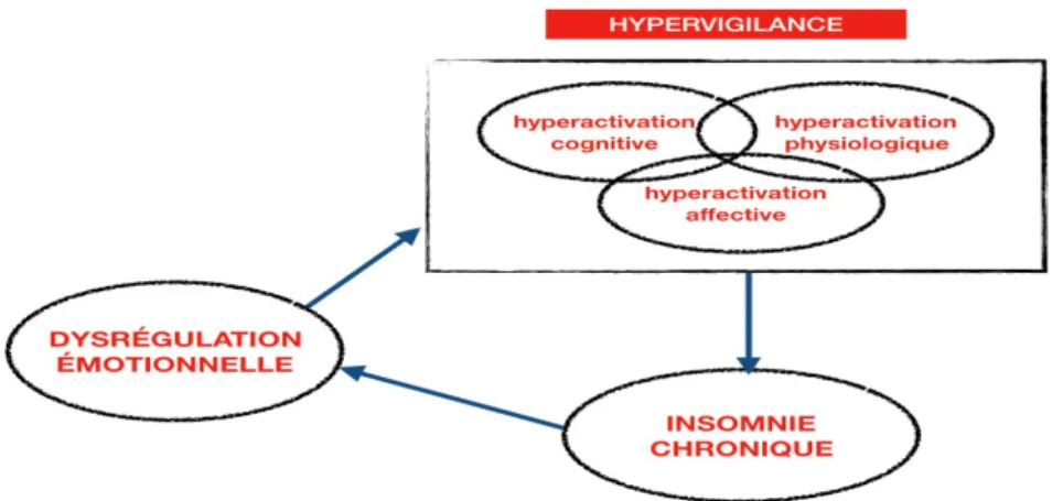 Figure 1.1  Relation bidirectionnelle et formation d’un cercle vicieux entre l’insomnie chronique,  la  dérégulation  émotionnelle  et  l’état  d’hypervigilance