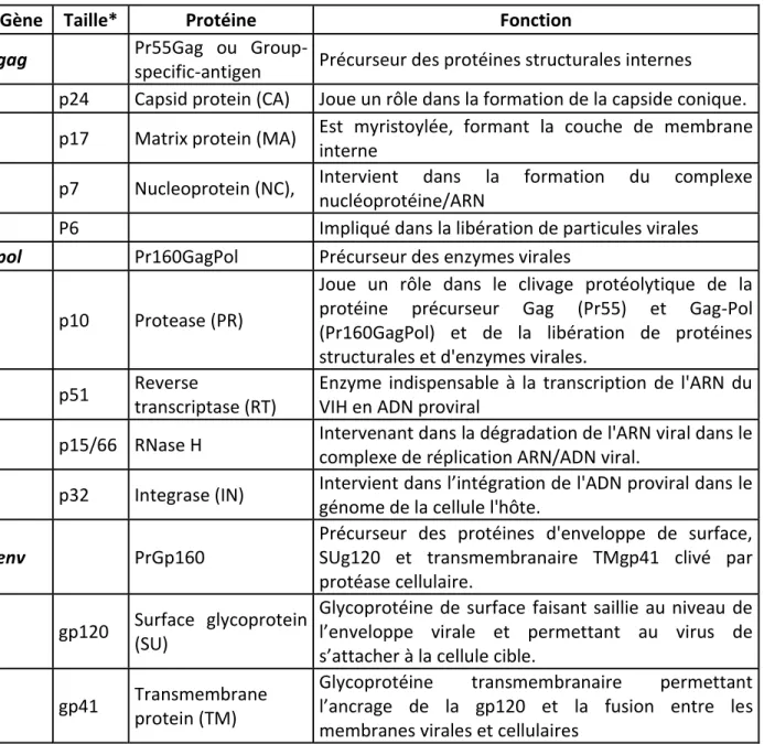 Tableau I.  Caractéristiques et fonctions des protéines de structures du VIH-1. 