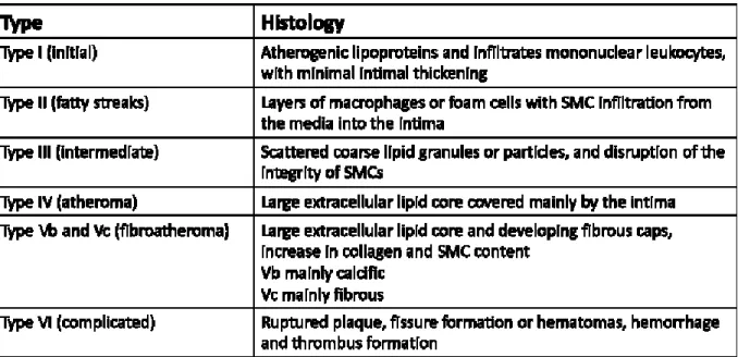 Table 1. Classification of the atherosclerotic lesion. 