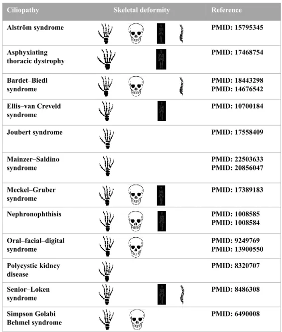 Figure 1-3 Human ciliopathies with skeletal deformities. 