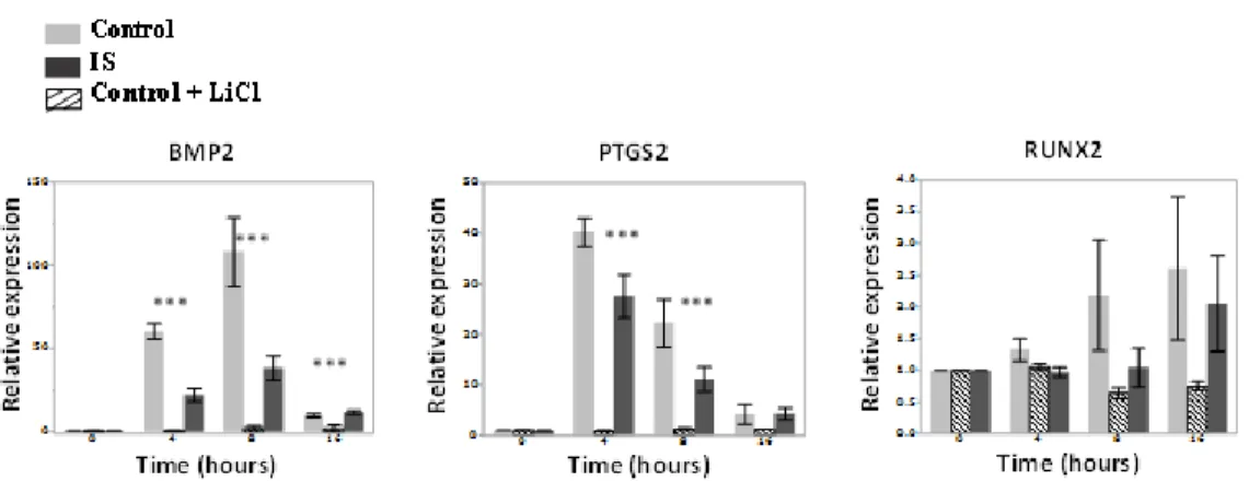 Figure 2-4. Osteogenic factors response profile of primary human osteoblasts  from control, IS and LiCl treated controls under mechanical stimulation.
