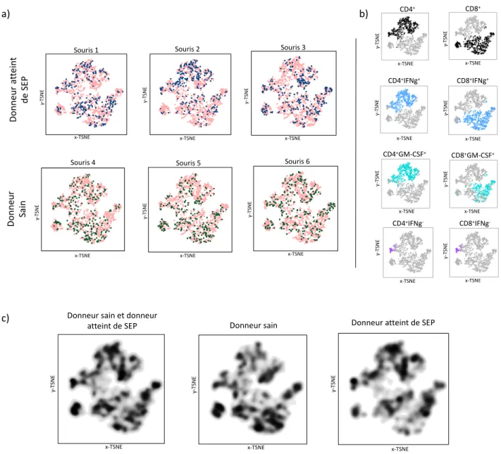 Graphique de l’analyse t-SNE des hCD45 infiltrant le SNC à j25 (MS-3 et CTRL-2).  Graphique  de  l’analyse  t-SNE  des  hCD45  infiltrant  le  SNC  chez  les  souris  NSG  avec  reconstitution  immune  provenant  de  PBMC  d’un  sujet  atteint  de  SEP  (M