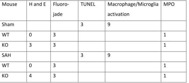 Table 6 Number of mice used for each staining 